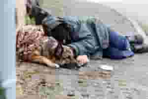A person laying on the ground with their head down.